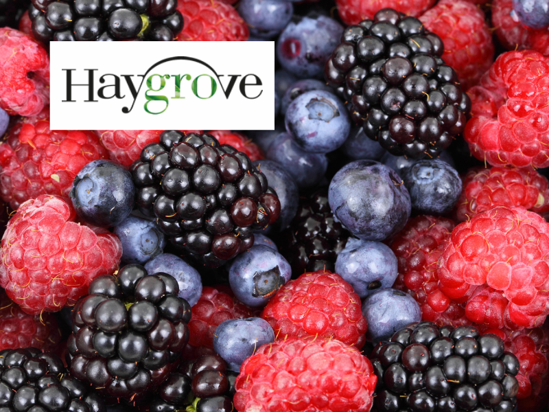 LMC Express - Haygrove